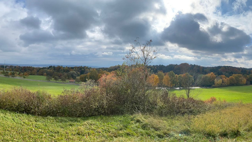 Panoramabild mit Ammersee im Hintergrund.